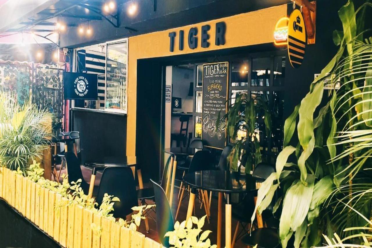Tiger Hostel Medellín Zewnętrze zdjęcie