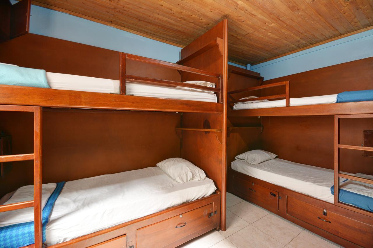 Tiger Hostel Medellín Zewnętrze zdjęcie